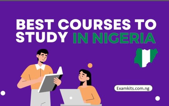 10 Best Art Courses to Study in Nigeria