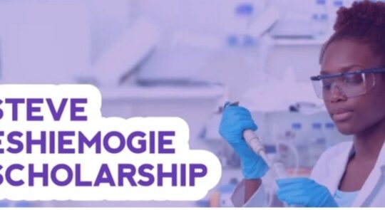 Steve Eshiemogie Scholarship for Nigerian Students 2024