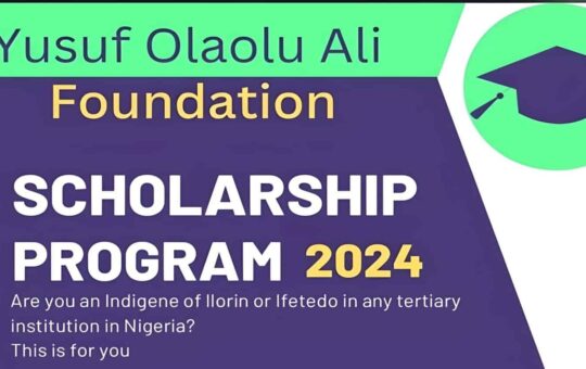 YOA Scholarship Program For Undergraduate Students 2024