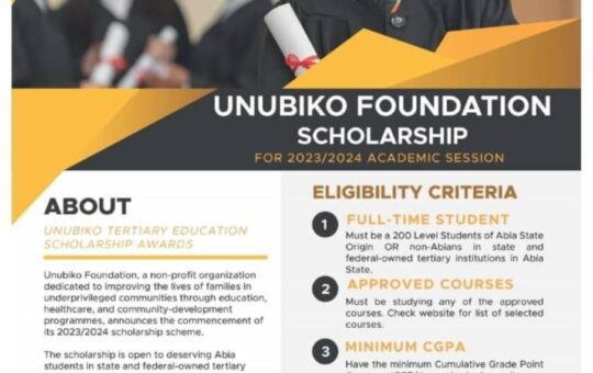 Unubiko Foundation Scholarship Program 2024