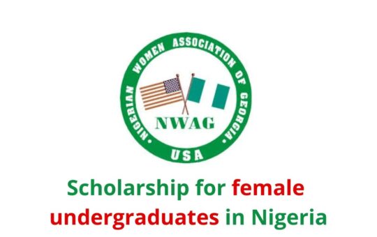 NWAG Scholarship Program for Nigerian Students 2024